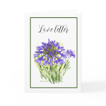 Agapanthus card