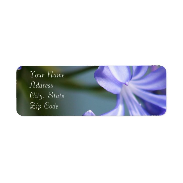 Agapanthus Flower Address Labels (Front)