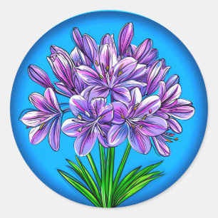 Agapanthus flower classic round sticker