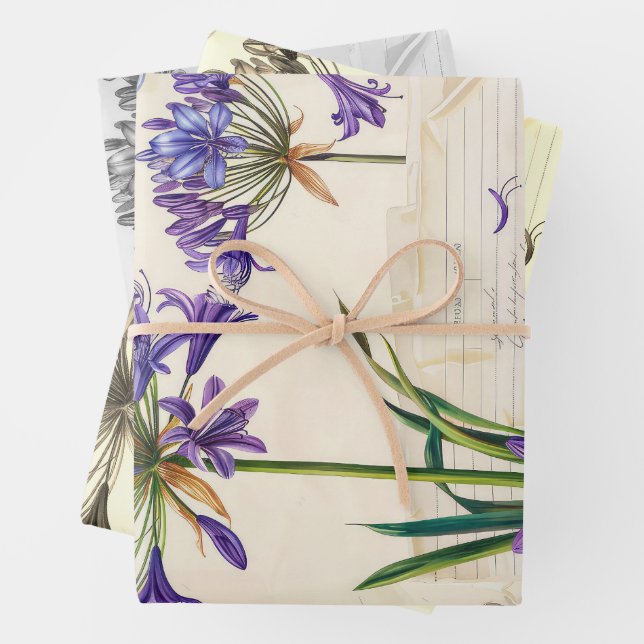 Agapanthus flower Ephemera Collage Art Wrapping Paper Sheet (In situ)