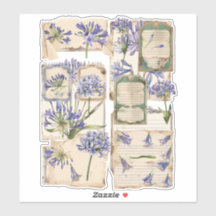 Agapanthus flower Fussy Cut Ephemera 2