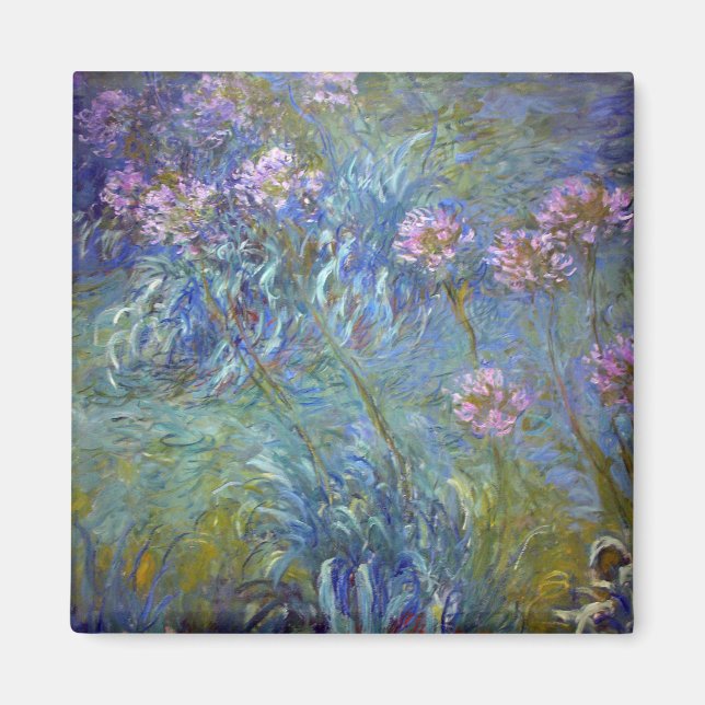 Agapanthus, Monet Magnet (Front)