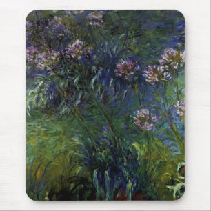 Agapanthus Mouse Pad