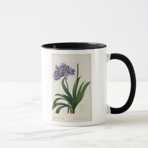 Agapanthus umbrellatus mug