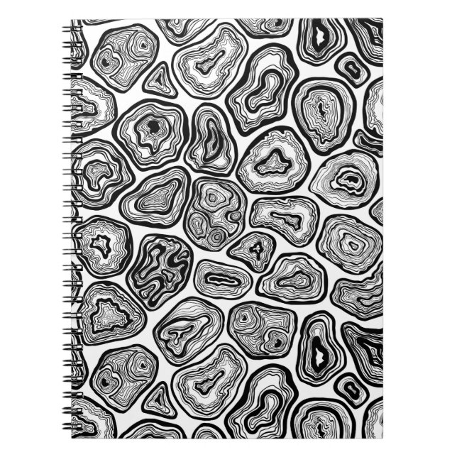 Agate slices in black and white notebook (Front)