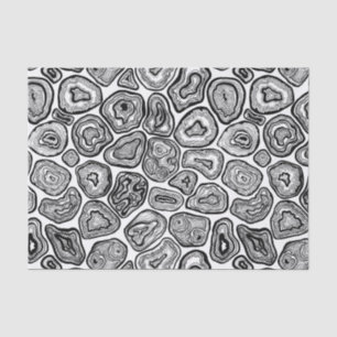 Agate slices in black and white tissue paper