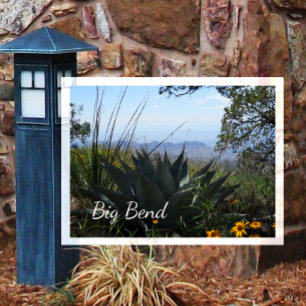 Agave and Wildflowers, Big Bend National Park Postcard