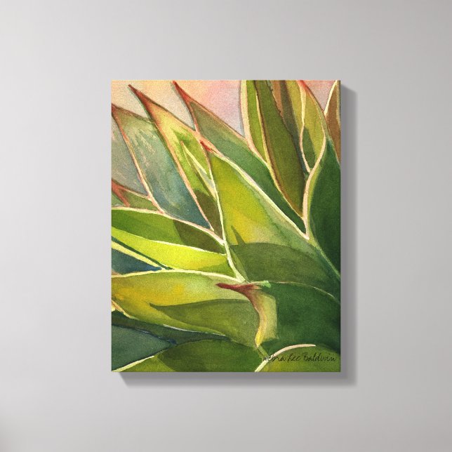 Agave attenuata watercolor by Debra Lee Baldwin Canvas Print (Front)