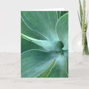 Agave Blank Note Card