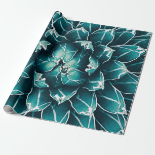 agave cactus, abstract nature background, top vi wrapping paper