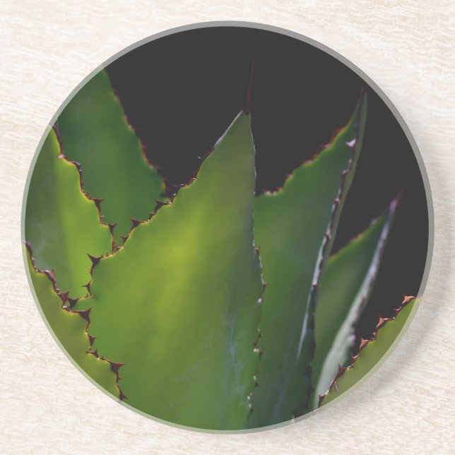 Agave glow coaster (Front)