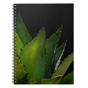 Agave glow spiral notebook
