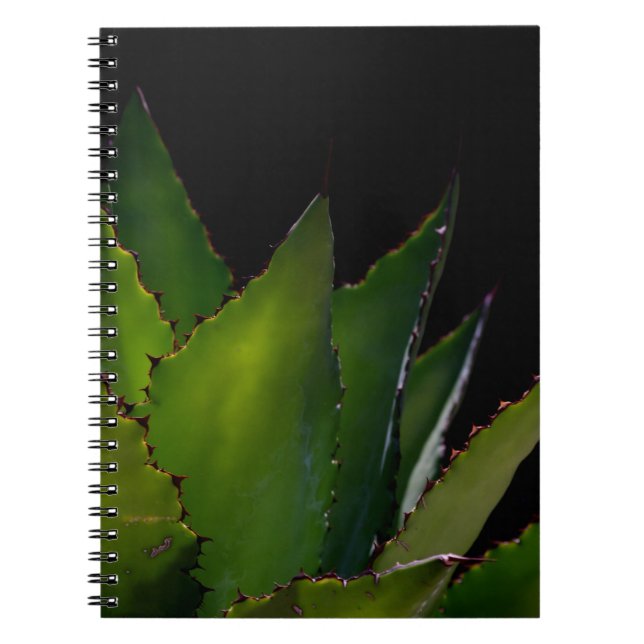 Agave glow spiral notebook (Front)