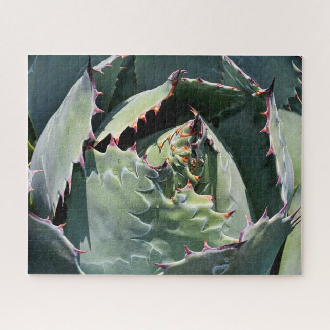 Agave Impressions, Detail Photograph, Jigsaw Puzzle (Horizontal)