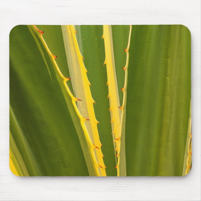 Agave Plant Abstract Mouse Pad (Front)