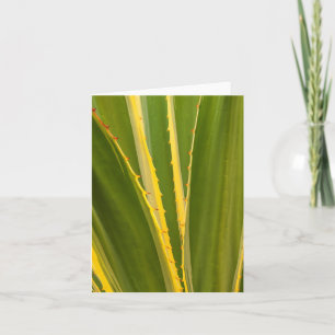 Agave Plant Abstract Note Card