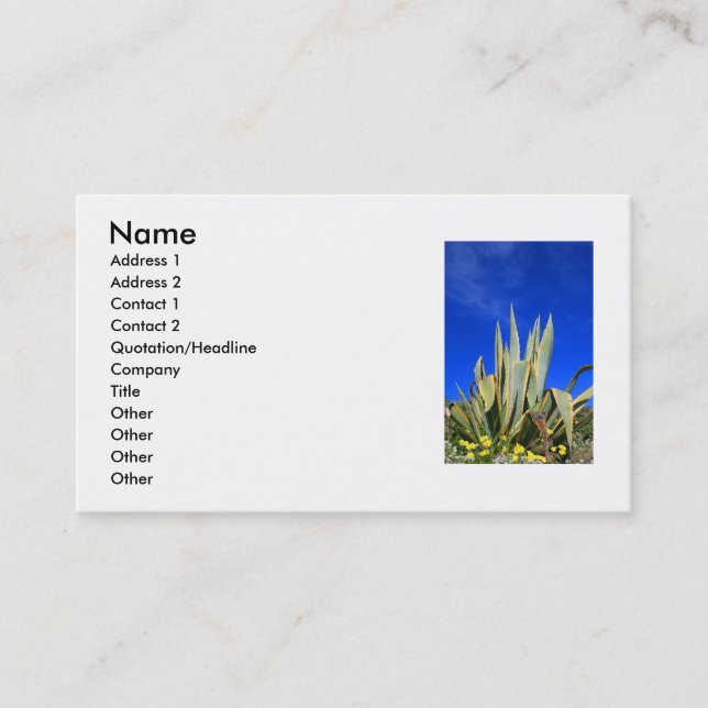 Agave Plant Business Card (Front)