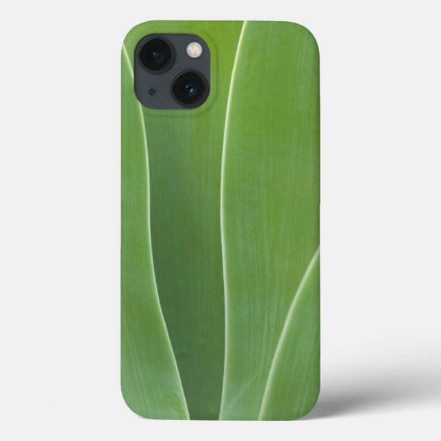 Agave Plant Close Up Case-Mate iPhone Case (Back)