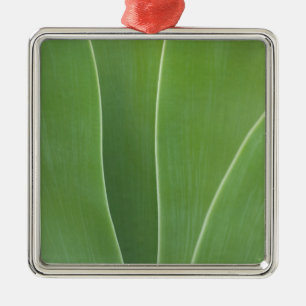 Agave Plant Close Up Metal Tree Decoration