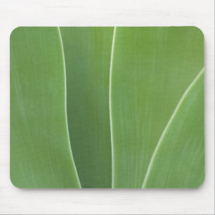 Agave Plant Close Up Mouse Pad