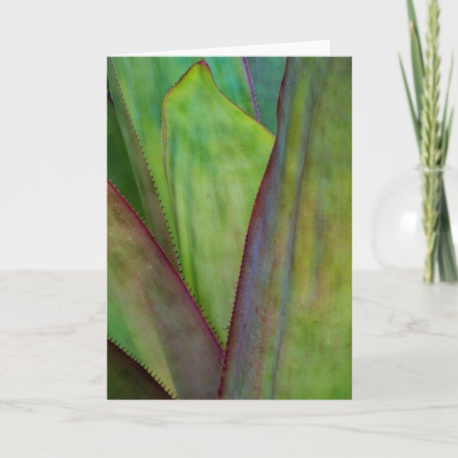 Agave Plant Detail Card (Front)