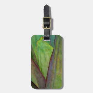 Agave Plant Detail Luggage Tag