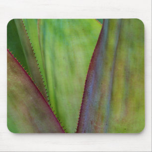 Agave Plant Detail Mouse Pad