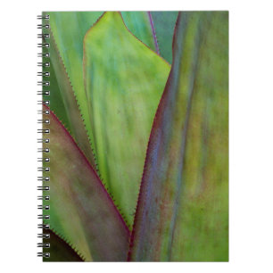 Agave Plant Detail Notebook