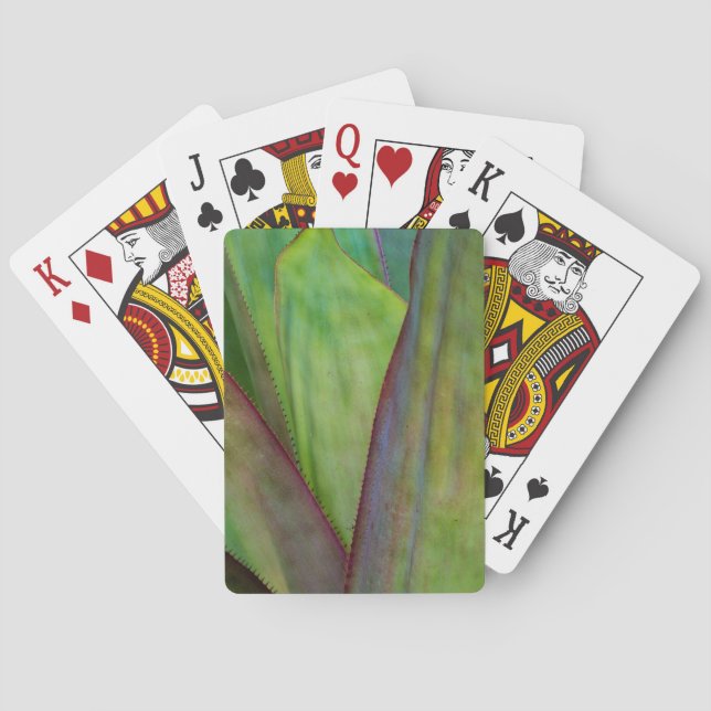 Agave Plant Detail Playing Cards (Back)