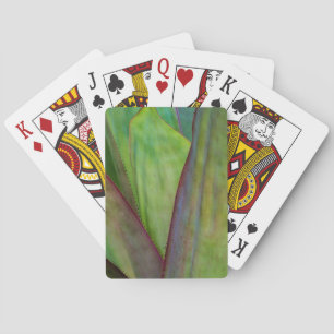 Agave Plant Detail Playing Cards