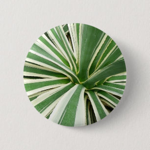 Agave Plant Green and White Striped 6 Cm Round Badge