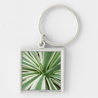 Agave Plant Green and White Striped Key Ring
