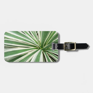 Agave Plant Green and White Striped Luggage Tag
