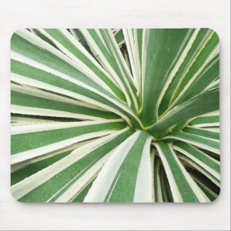 Agave Plant Green and White Striped Mouse Pad