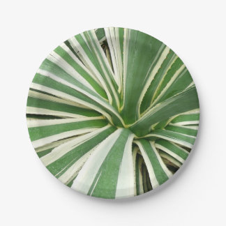 Agave Plant Green and White Striped Paper Plate