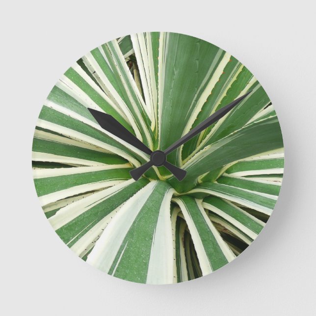 Agave Plant Green and White Striped Round Clock (Front)