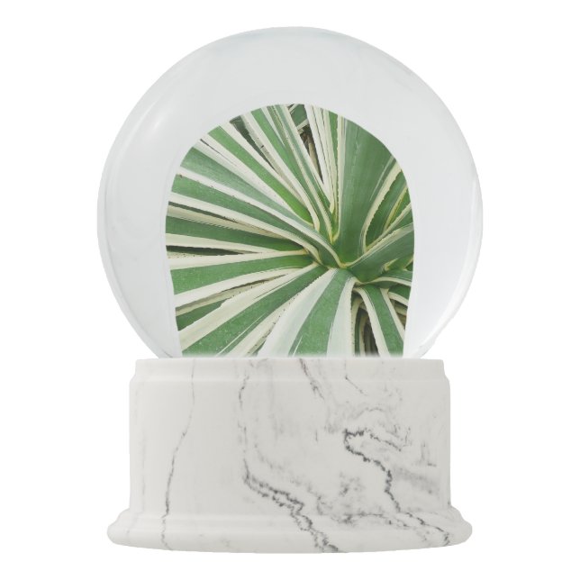 Agave Plant Green and White Striped Snow Globe (Front)