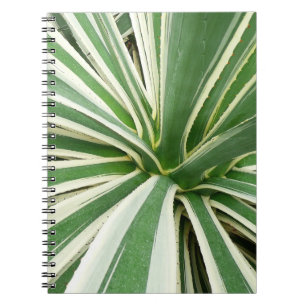 Agave Plant Green and White Striped Spiral Notebook