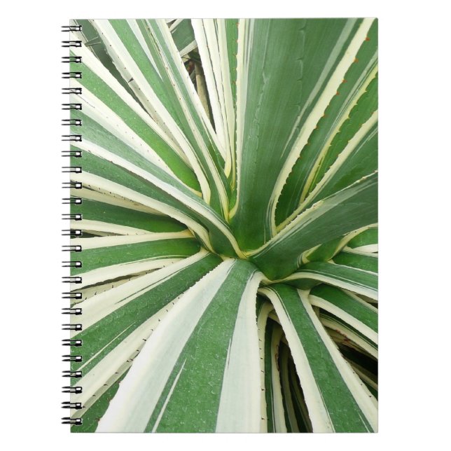 Agave Plant Green and White Striped Spiral Notebook (Front)