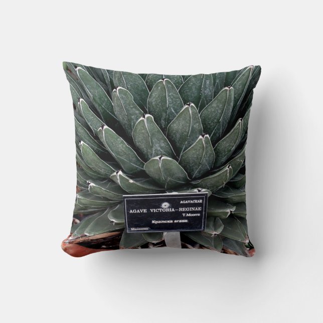 Agave Plant Photo Throw Cushion 41 cm x 41 cm (Front)
