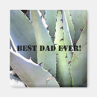 Agave Plant Succulent Blue Cacti Tequila Desert