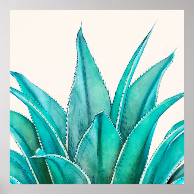 Agave Poster (Front)