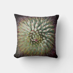 Agave Spikes 16" Square Pillow