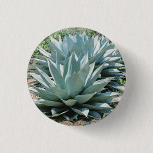 Agave Succulent Plant Cactus Green sage 3 Cm Round Badge