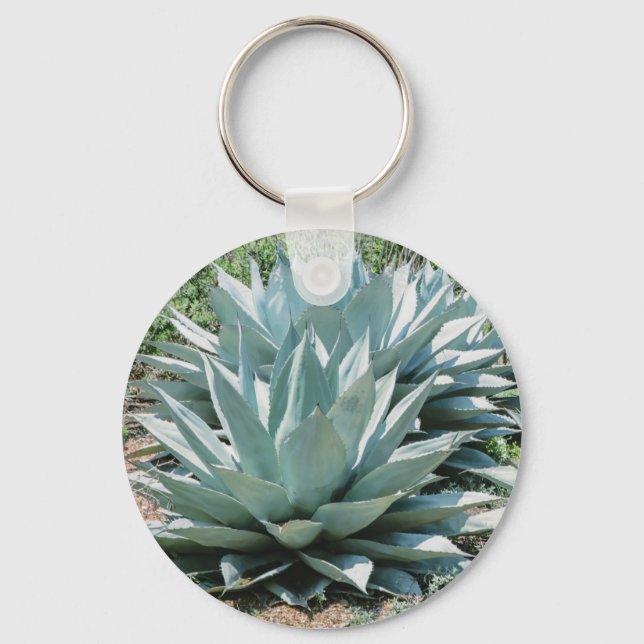 Agave Succulent Plant Cactus Green sage Key Ring (Front)
