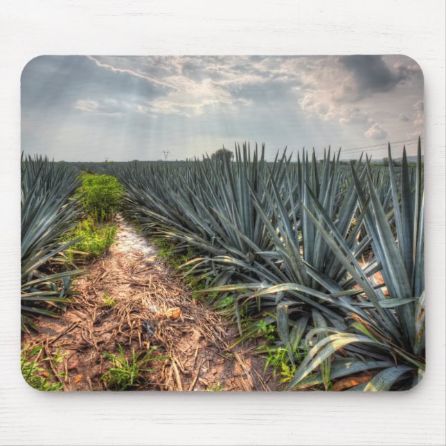 Agave Tequilana Mouse Pad (Front)