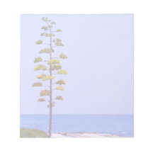 Agave Tree -