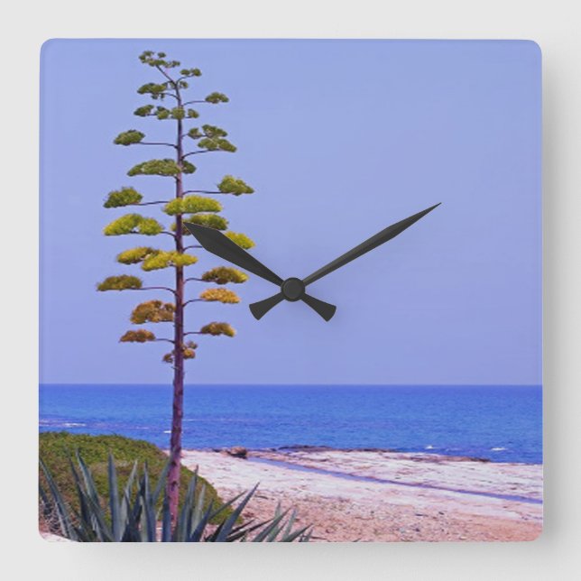 Agave Tree - Square Wall Clock (Front)