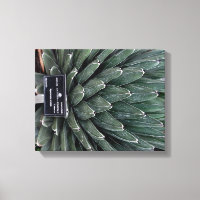 Agave Victoria Plant Photo Wrapped Canvas Print