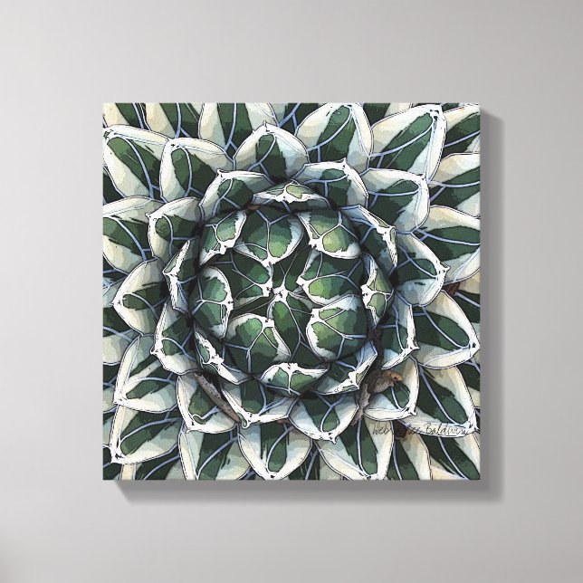 Agave victoria-reginae photo by Debra Lee Baldwin Canvas Print (Front)